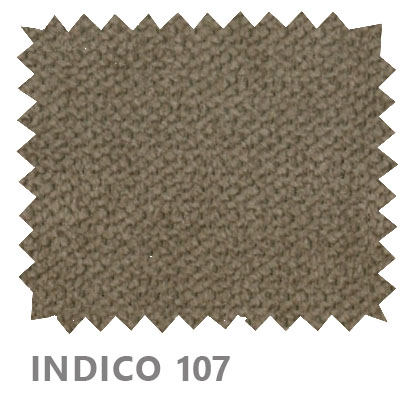 Indico 107